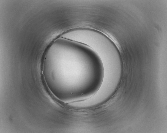 X0000115290485200911231251