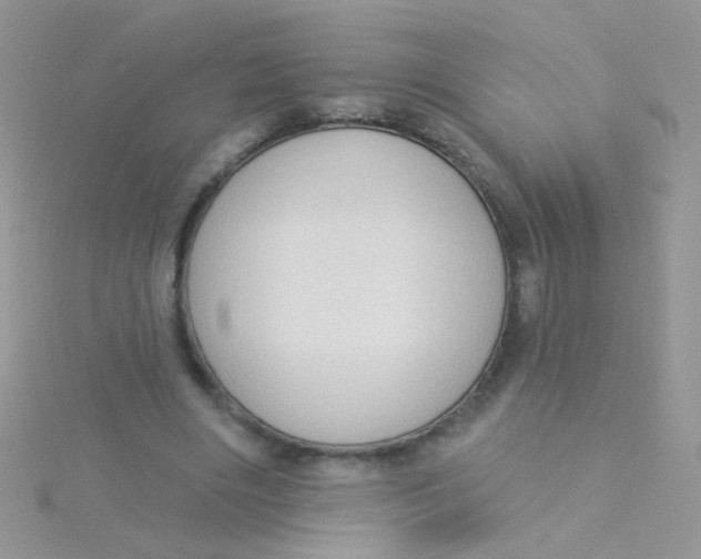 X0000115290490200911231251