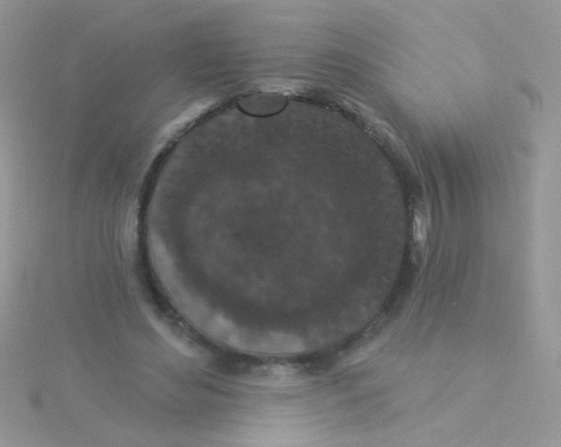 X0000115290492200911231251