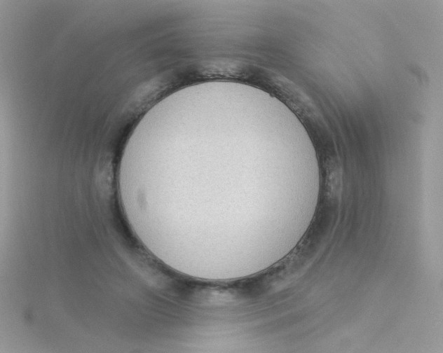 X0000115290498200911231251