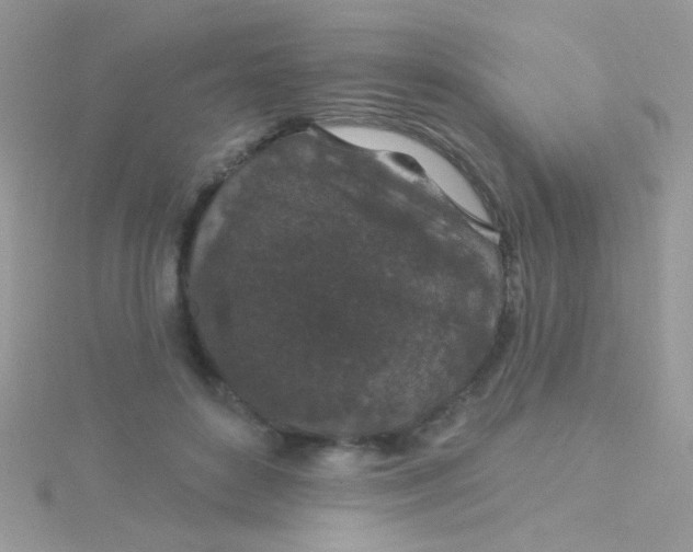 X0000115290504200911231251