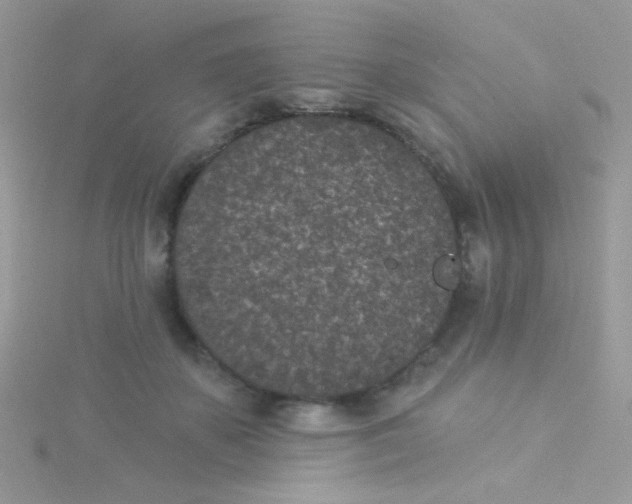 X0000115290507200911231251