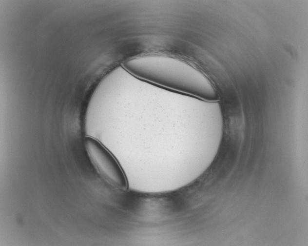 X0000115290508200911231251