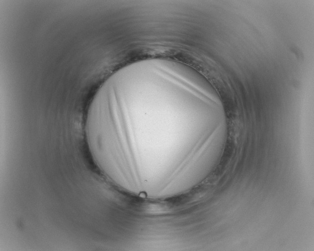X0000115290510200911231251