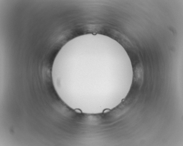 X0000115290522200911231251