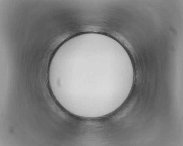 X0000115290529200911231250
