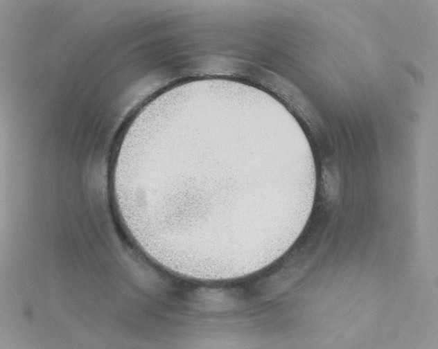 X0000115290534200911231250