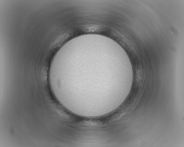 X0000115290545200911231251