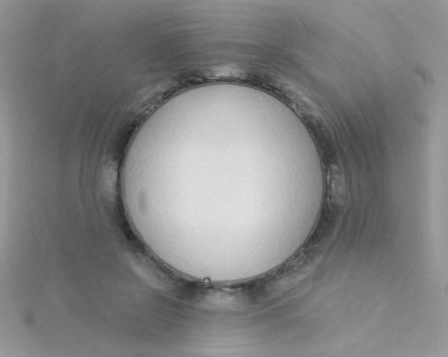 X0000115290550200911231251
