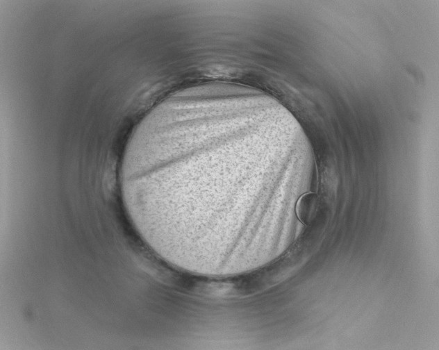 X0000115290554200911231251