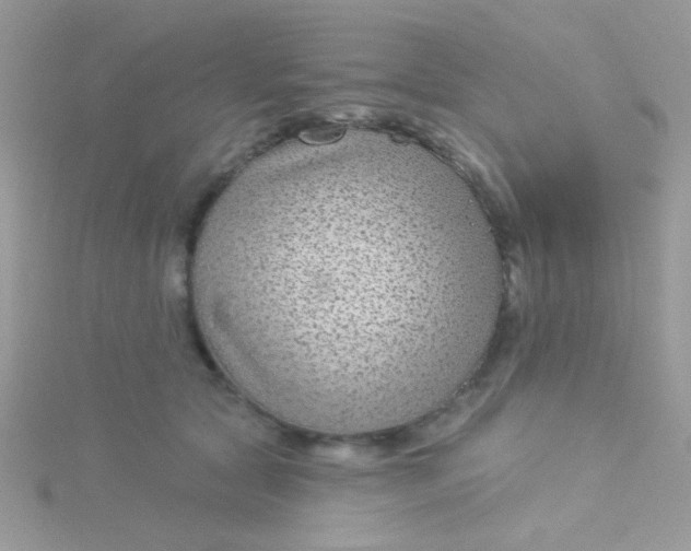 X0000115290561200911231251