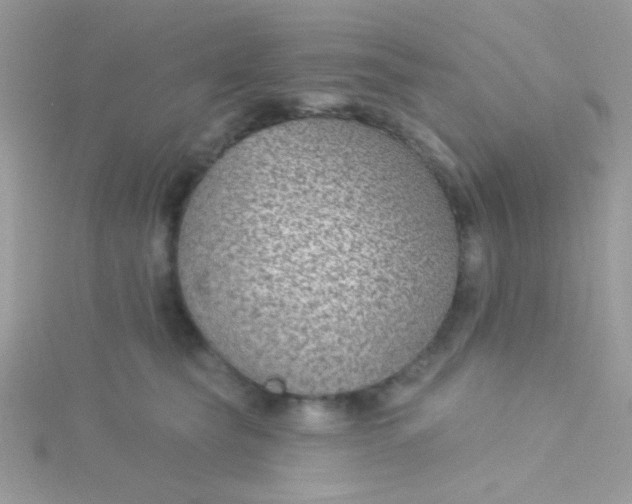 X0000115290565200911231251