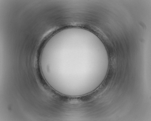 X0000115290587200911231250