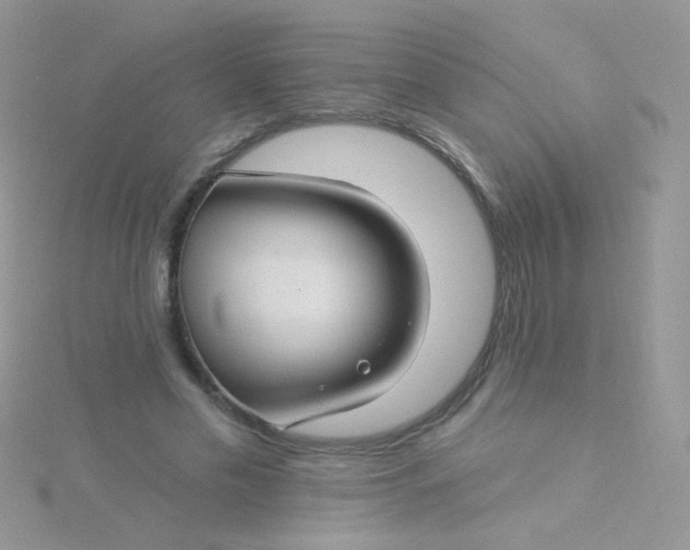X0000115290589200911231250