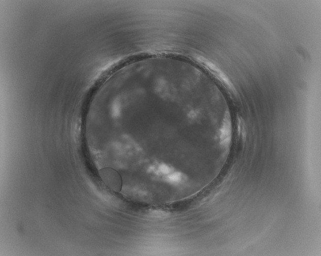 X0000115290592200911231250