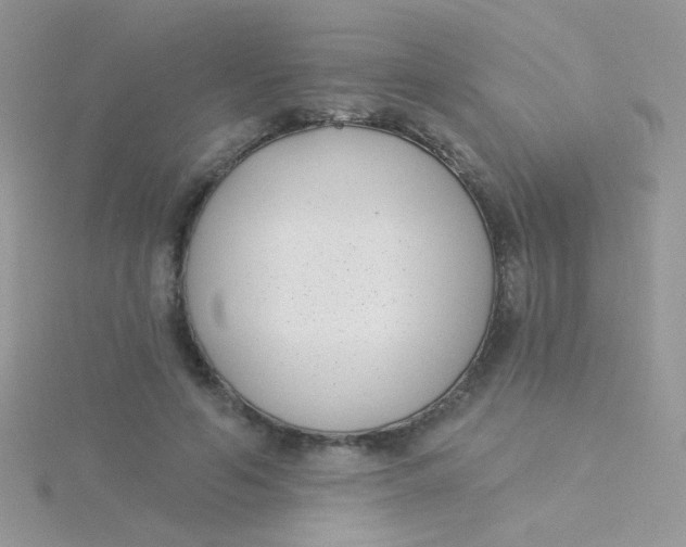 X0000115290594200911231250