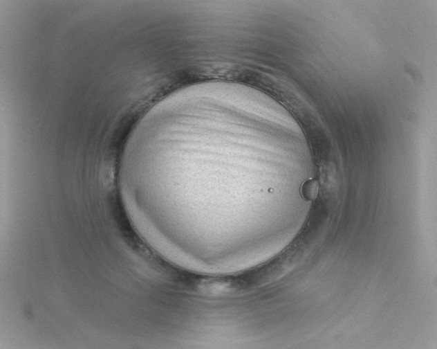 X0000115290602200911231250