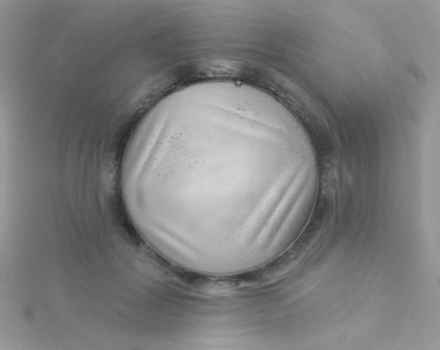 X0000115290604200911231250