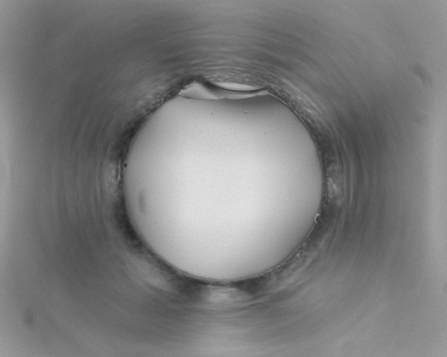 X0000115290605200911231250