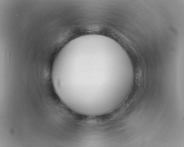 X0000115290608200911231250