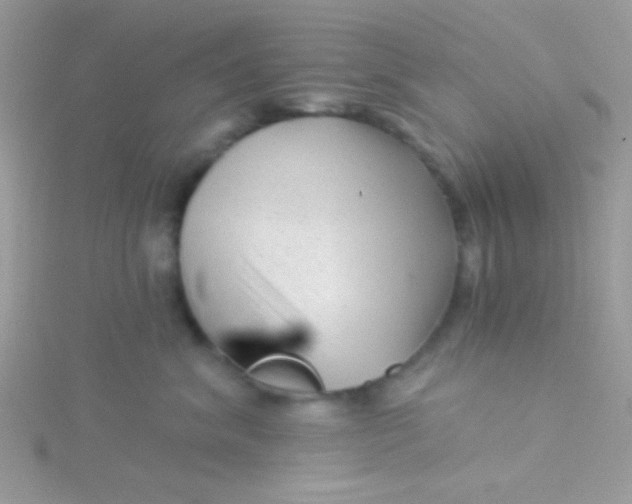 X0000115290620200911231250