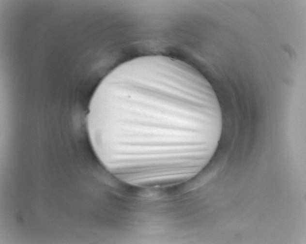 X0000115290624200911231250