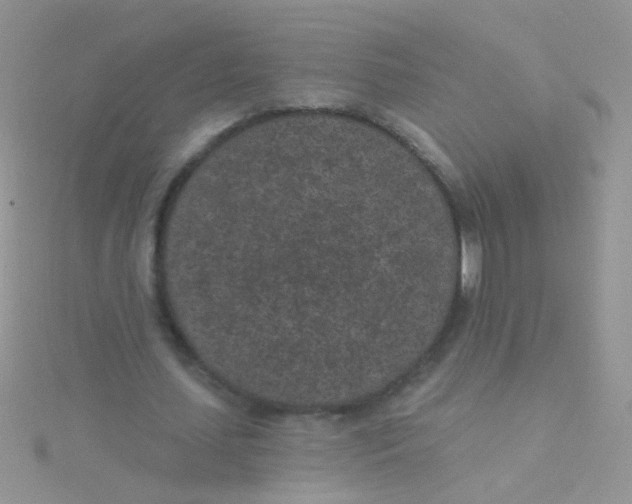 X0000115290627200911231249