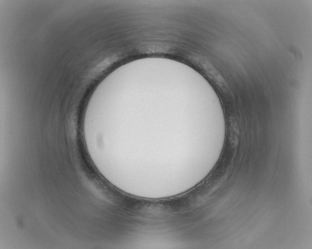 X0000115290631200911231249