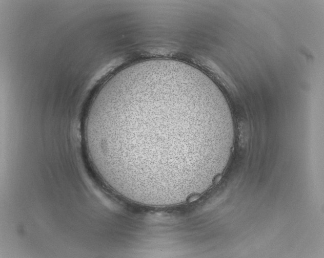 X0000115290634200911231249