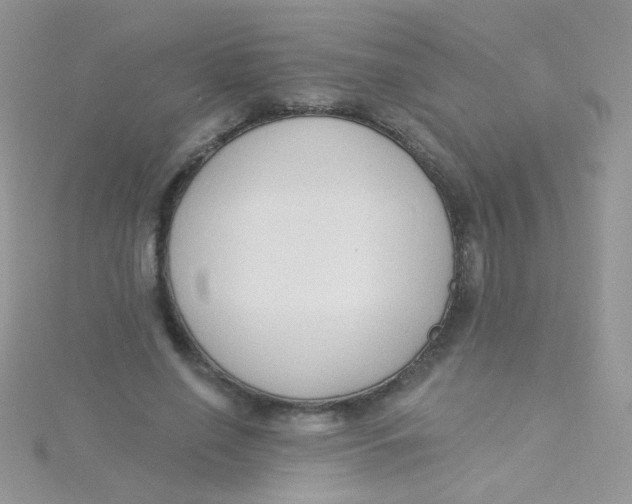X0000115290638200911231249