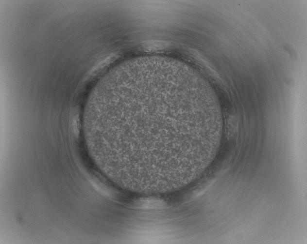 X0000115290644200911231249