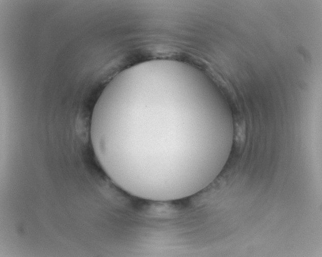 X0000115290666200911231250