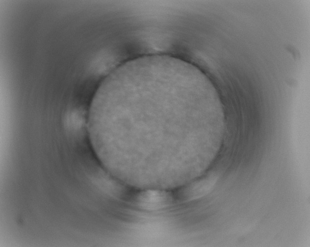 X0000115290672200911231250