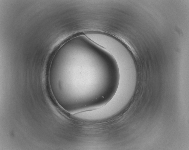 X0000115290677200911231249