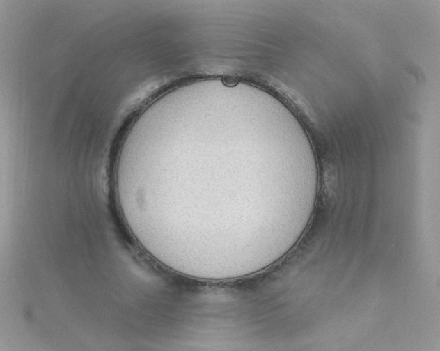 X0000115290682200911231249