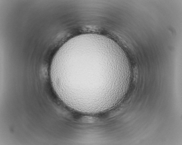 X0000115290699200911231249