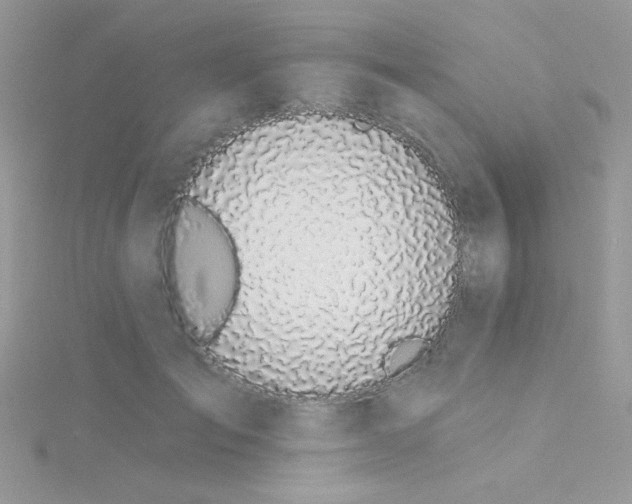 X0000115290701200911231249