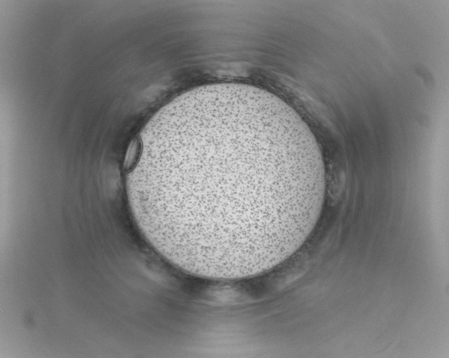 X0000115290704200911231248