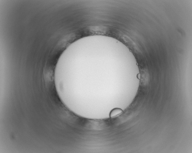 X0000115290713200911231248