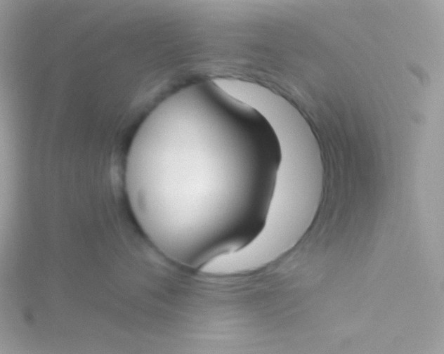 X0000115290720200911231248