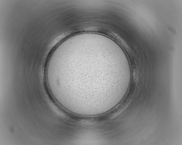 X0000115290725200911231248