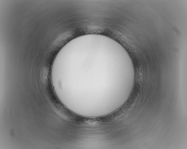 X0000115290742200911231248
