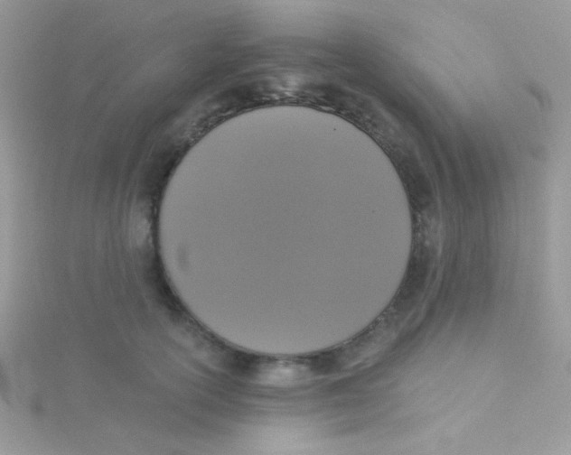 X0000115290754200911231248