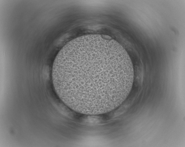 X0000115290758200911231248