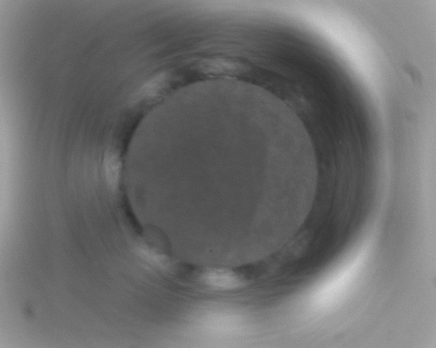 X0000115290767200911231248