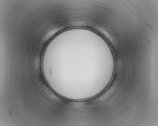 X0000115290778200911231248