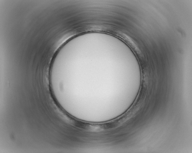 X0000115290794200911231247