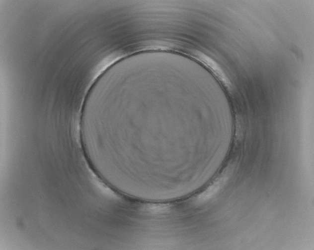 X0000115290802200911231247