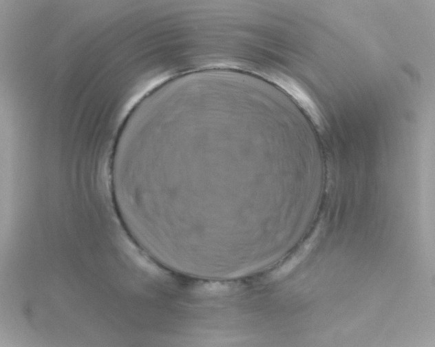 X0000115290806200911231247