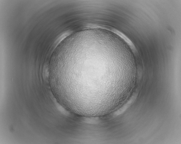 X0000115290809200911231247